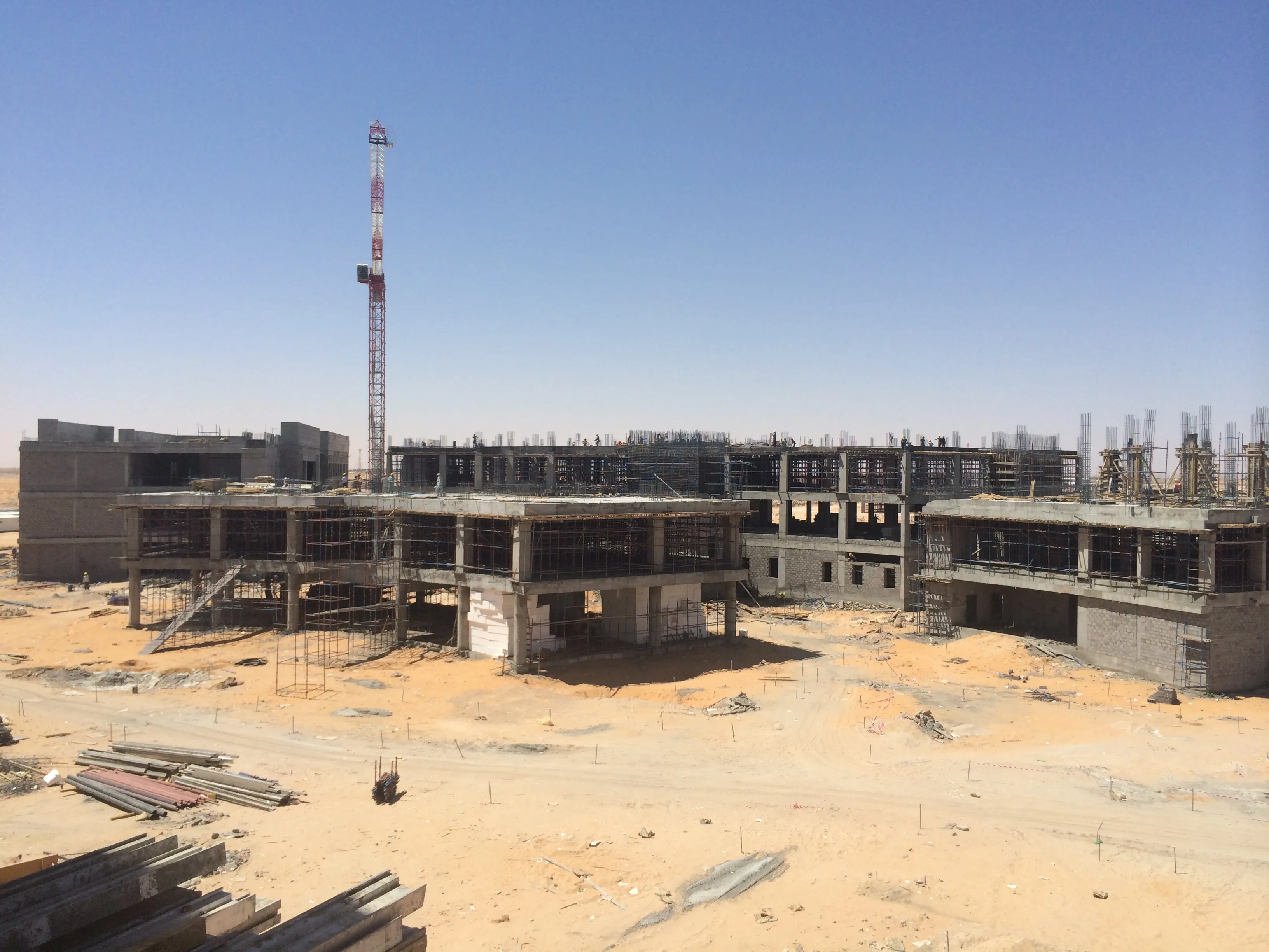Faculty of Medicine – Al Jouf University – Al Jouf – Saudi Arabia